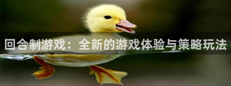 杏盛平台测速：回合制游戏：全新的游戏体验与策略玩法